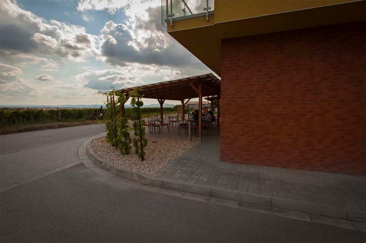 Rodinne Vinarstvi Skoupil Velké Bílovice Zewnętrze zdjęcie